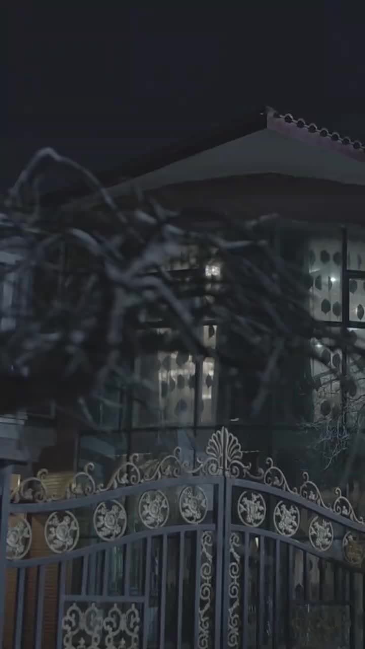 出獄後大佬媽咪颯爆全球 - Episode 29