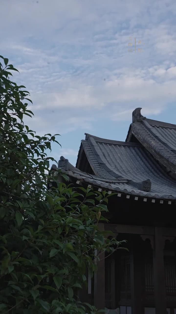 踏宮闕 - Episode 42