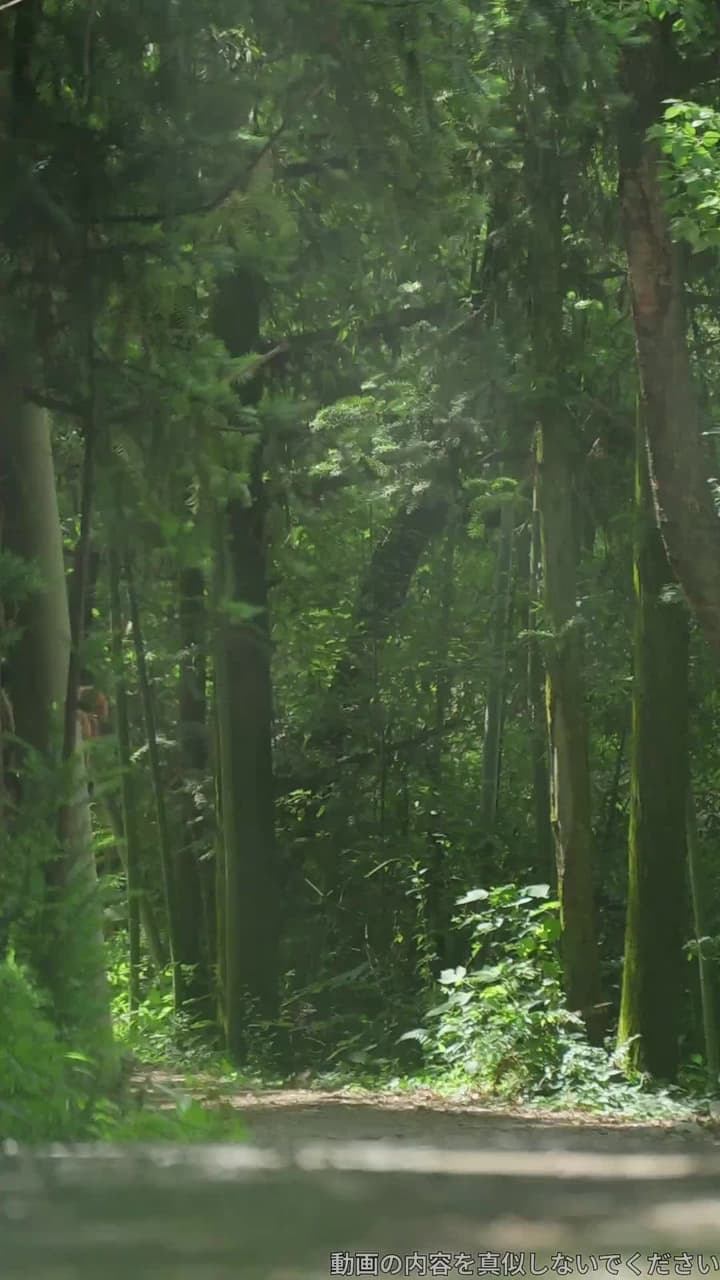 君を守る春の大地 - Episode 56