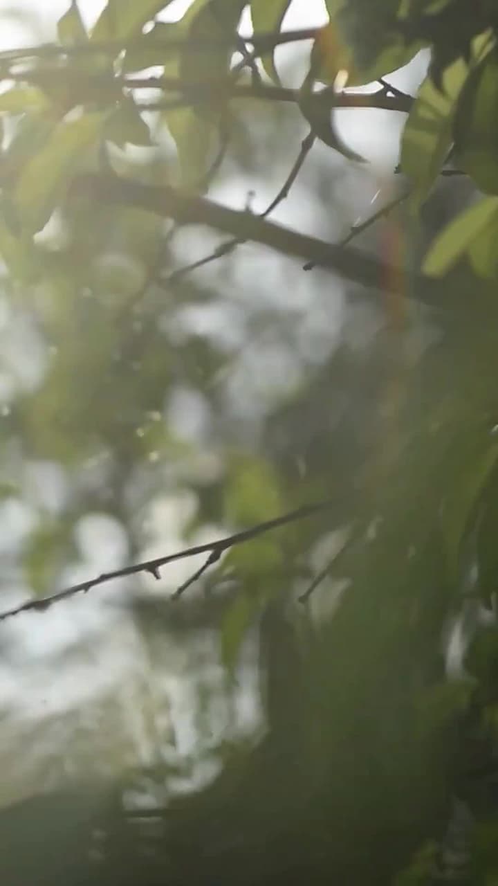 Roubando Meu Alfa Frio - Episode 18