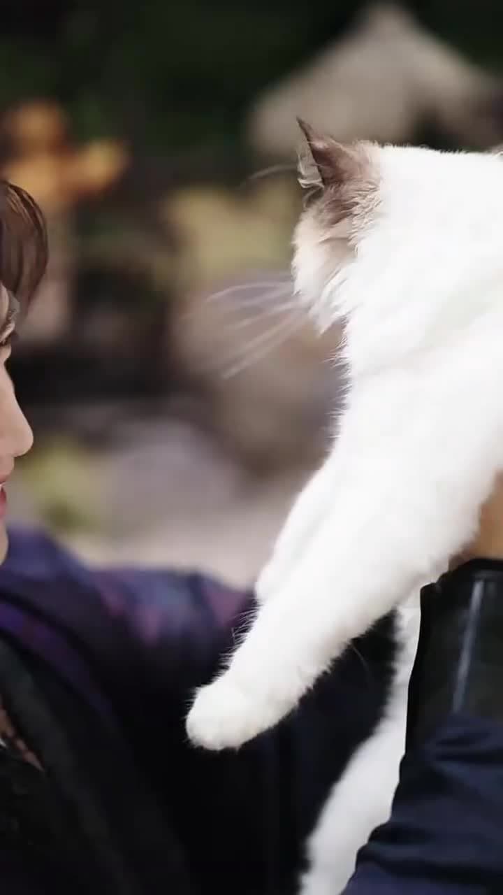 犬父定乾坤之武神歸來 - Episode 6