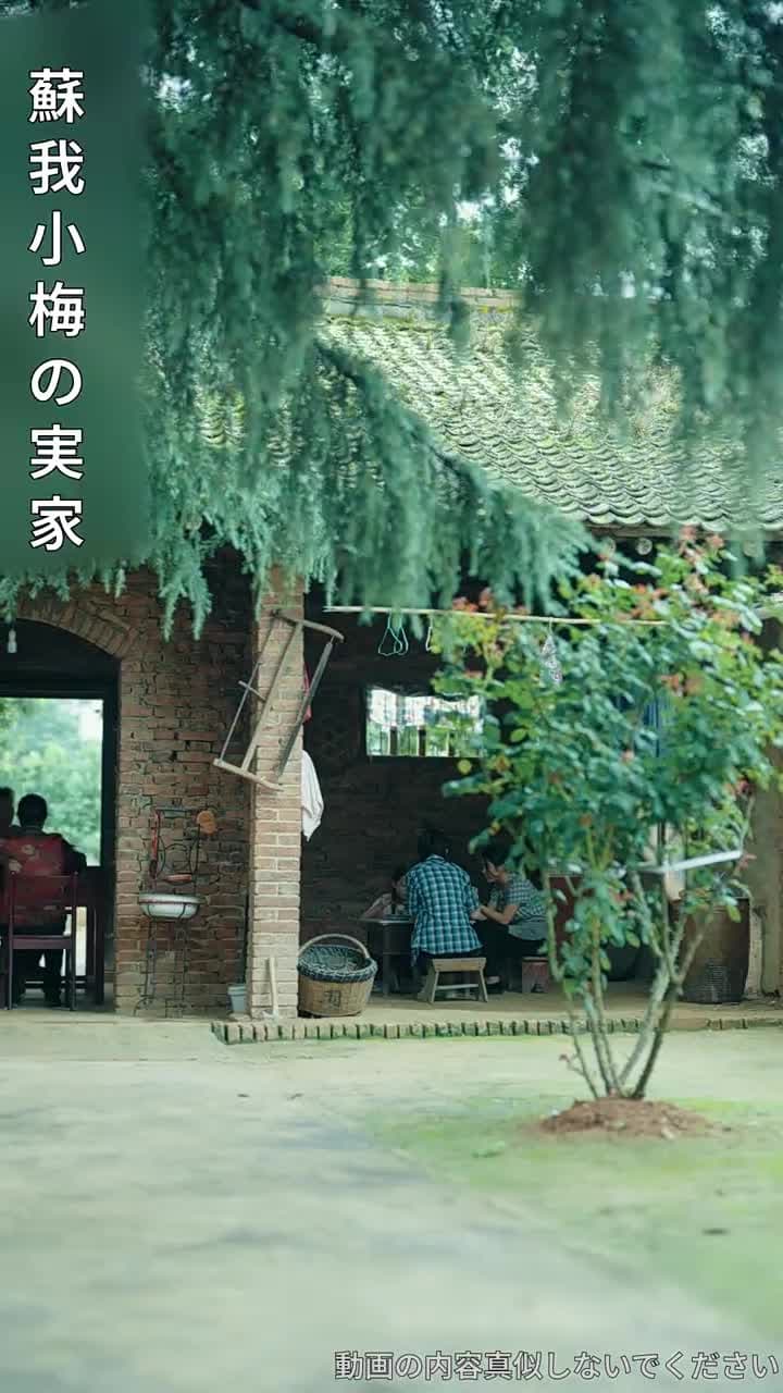 [吹替]梅の花が満開に - Episode 1