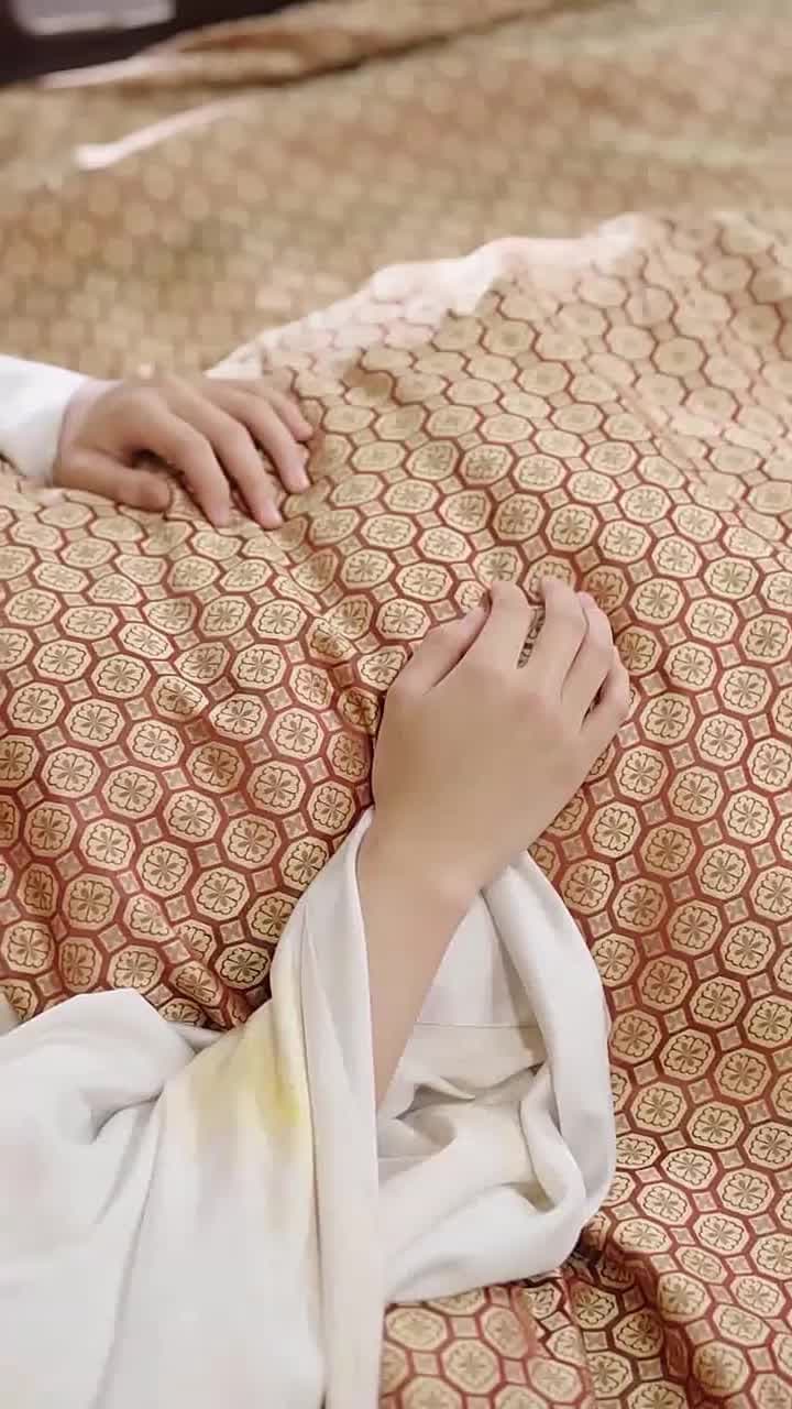 Oops the Prince Has a Son - Episode 5
