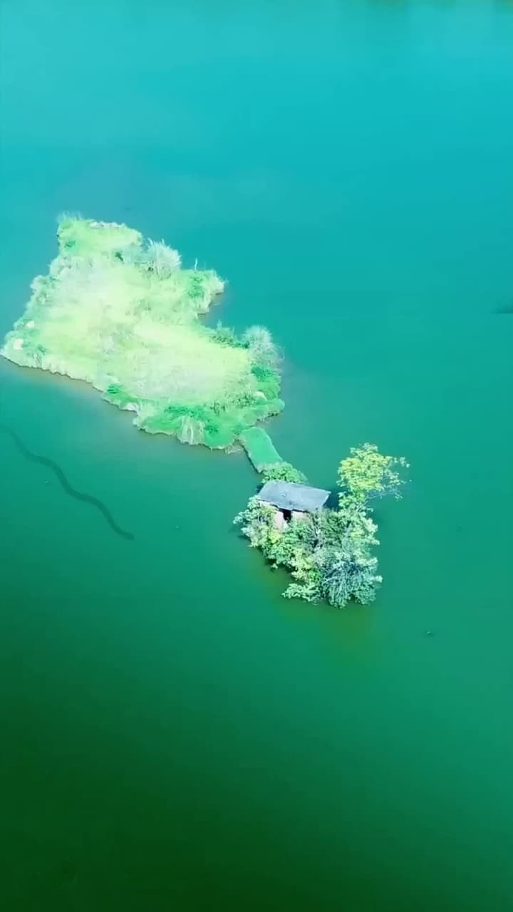 Piton Raksasa 2 : Terperangkap di Resor Panas - Episode 1
