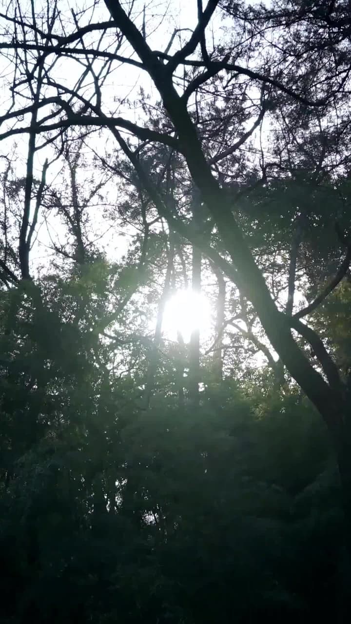 [Dijuluki]Tak Bisa Sembunyi Lagi - Episode 6