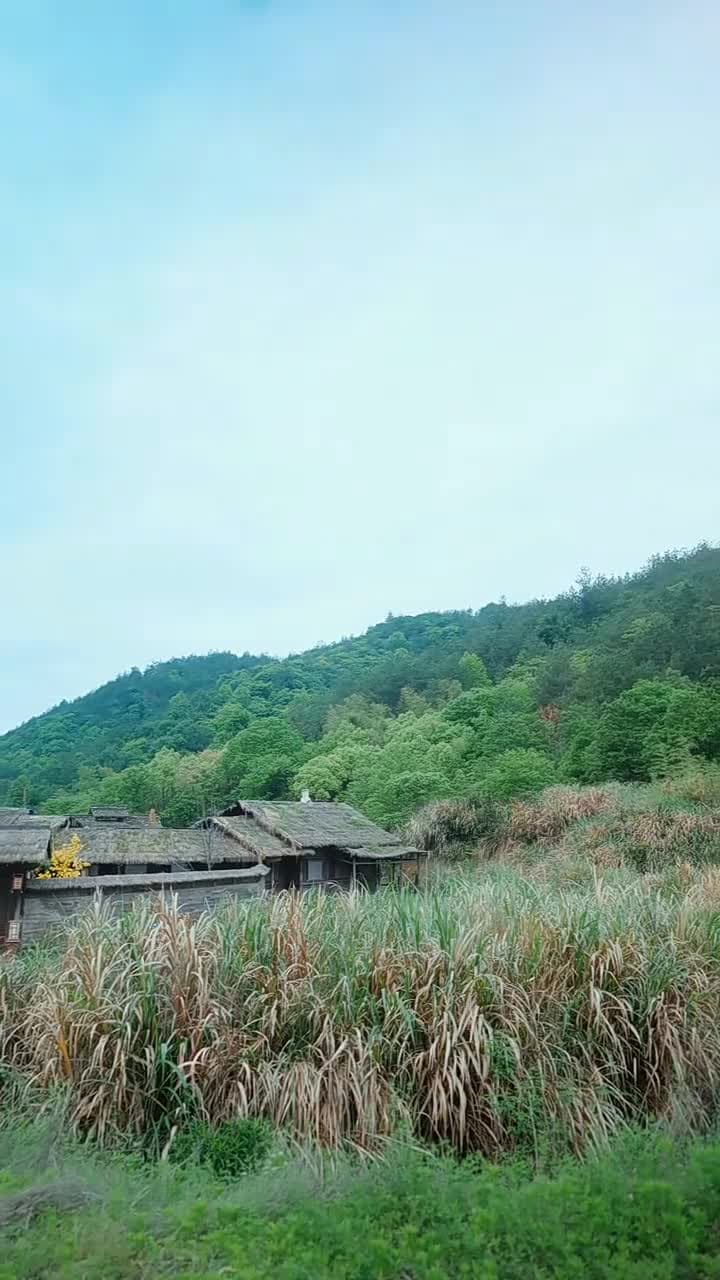 私、悪役権臣の悪女妻へ転生した - Episode 8