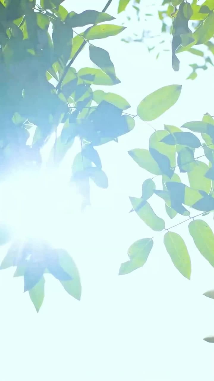 The Future Prince's Chronicle - Episode 3