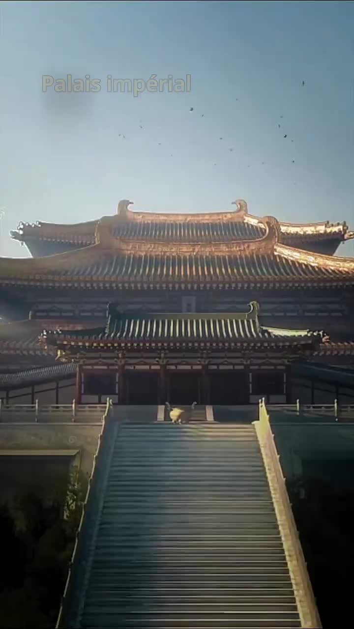 Le Prince et ses Quatre Tornades au Palais - Episode 7