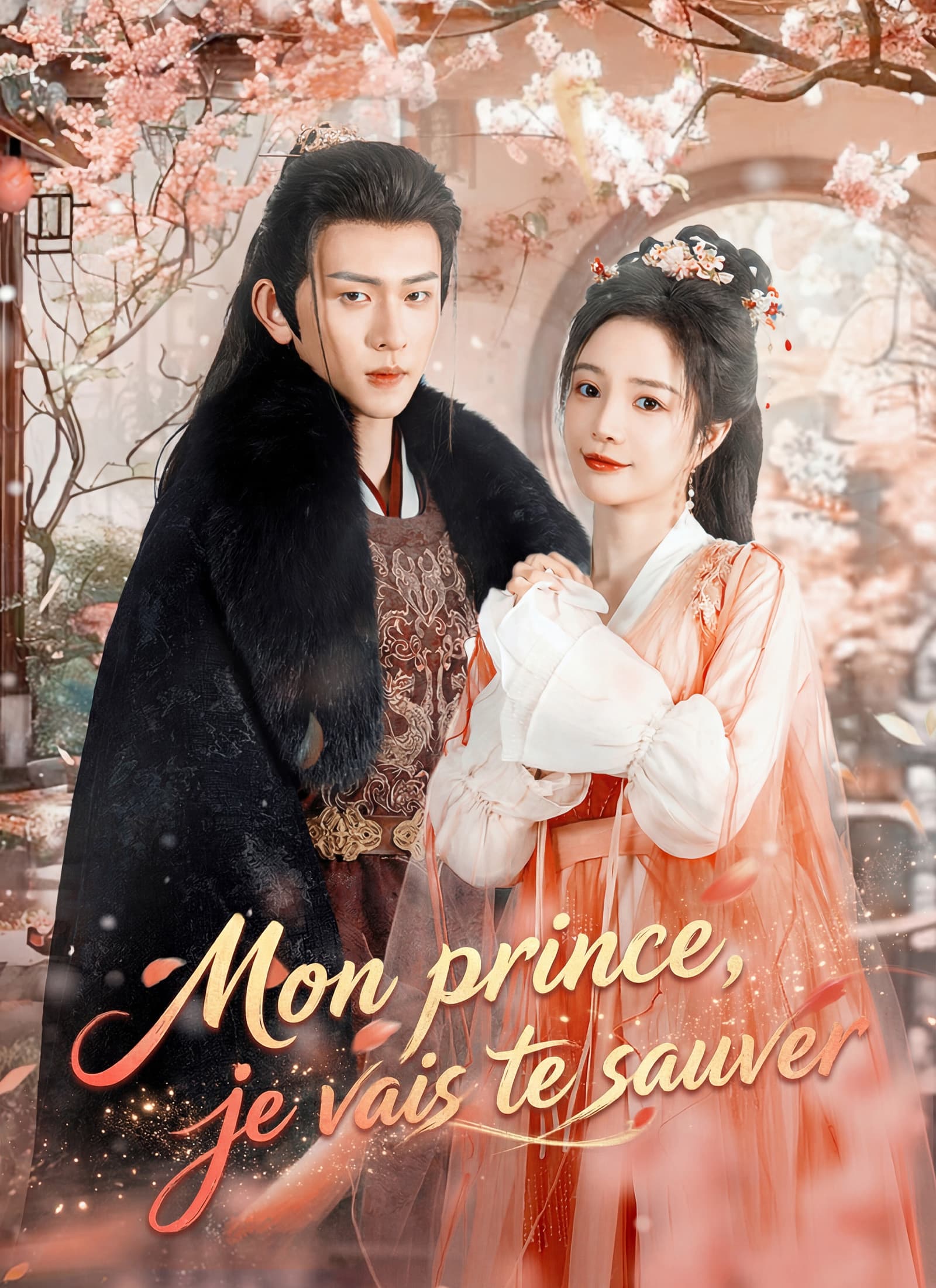Mon prince, je vais te sauver