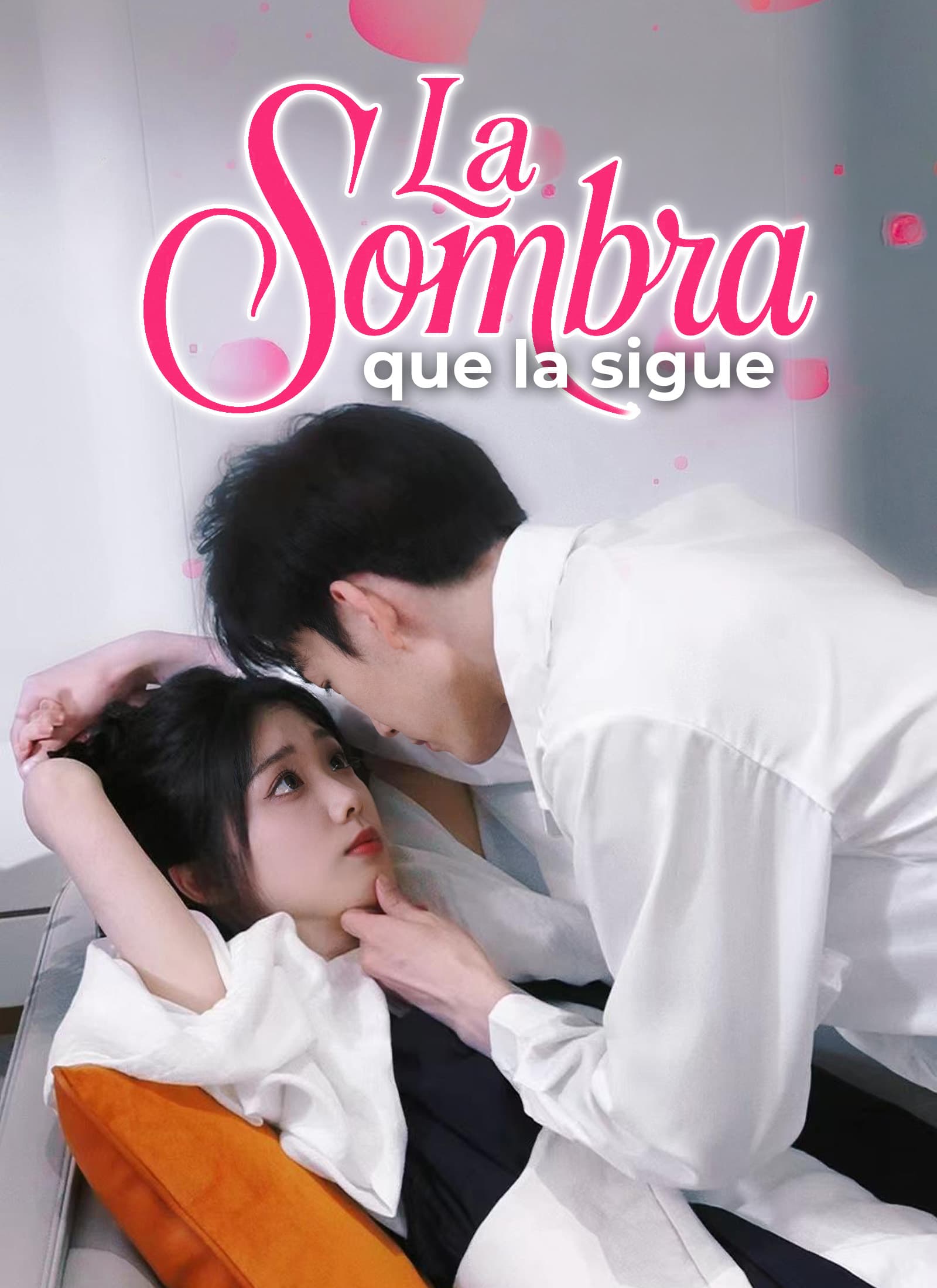 La sombra que la sigue