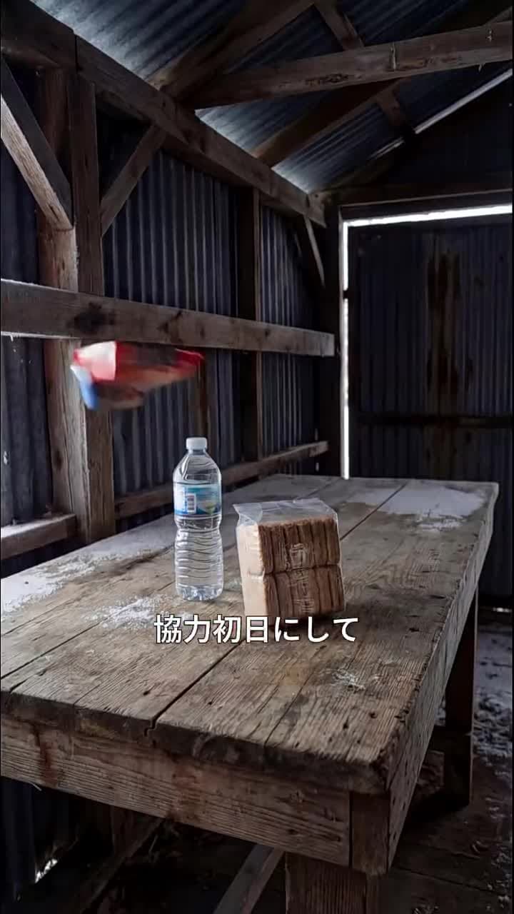 極寒ゾンビ終末で復讐無双~私だけの最強移動要塞~ - Episode 21