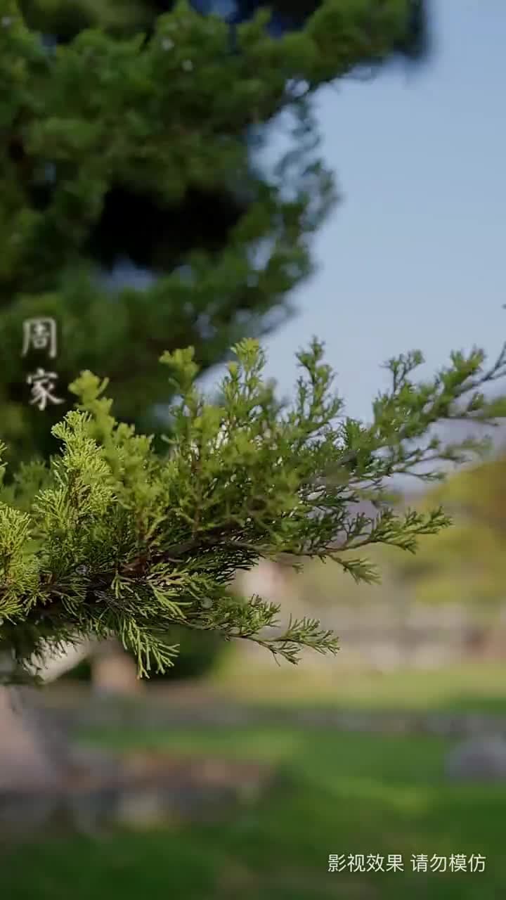 閻王出山 - Episode 67