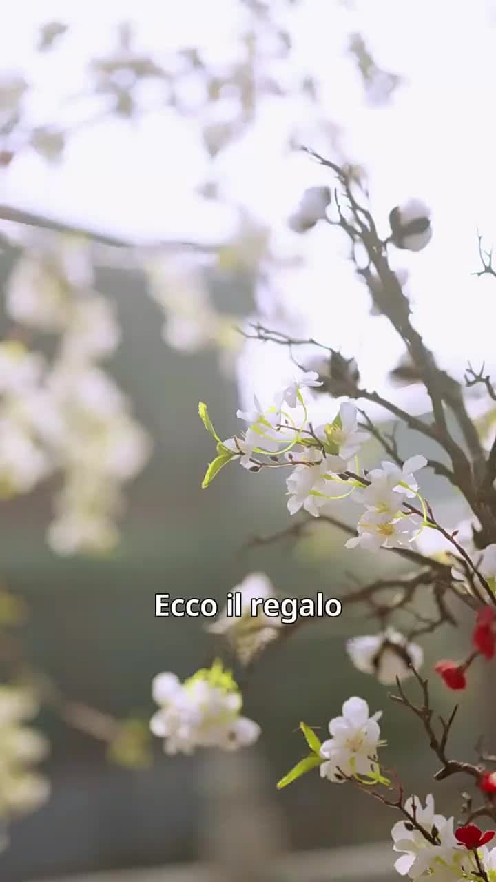 L'Imperatrice di Estalia Il Gioco dei Cinque Cuori - Episode 11