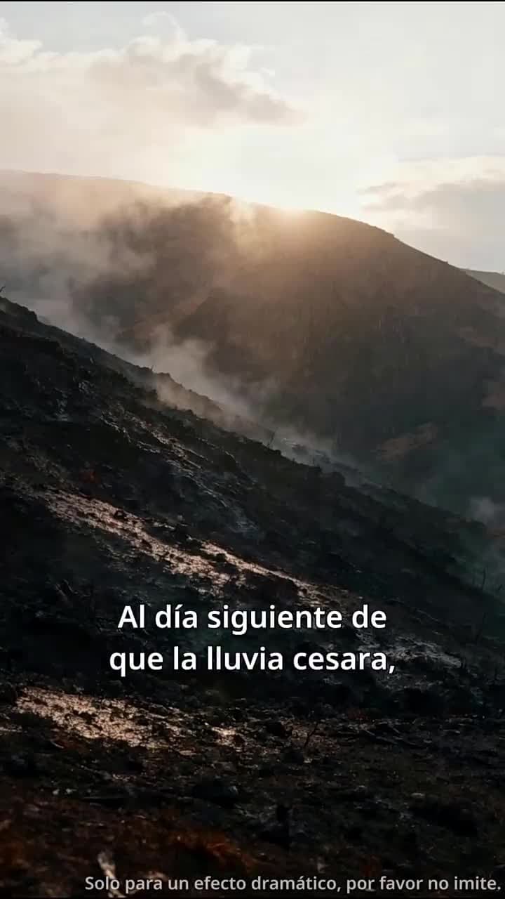 Bajo el Sol Letal - Episode 57