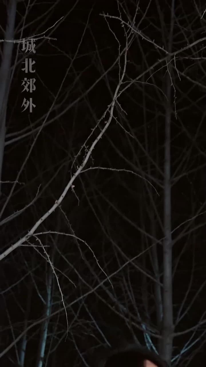 上錯婚車,錯娶絕色千金 - Episode 25