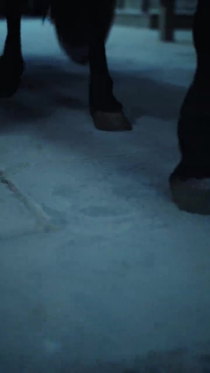 夜問 - Episode 15