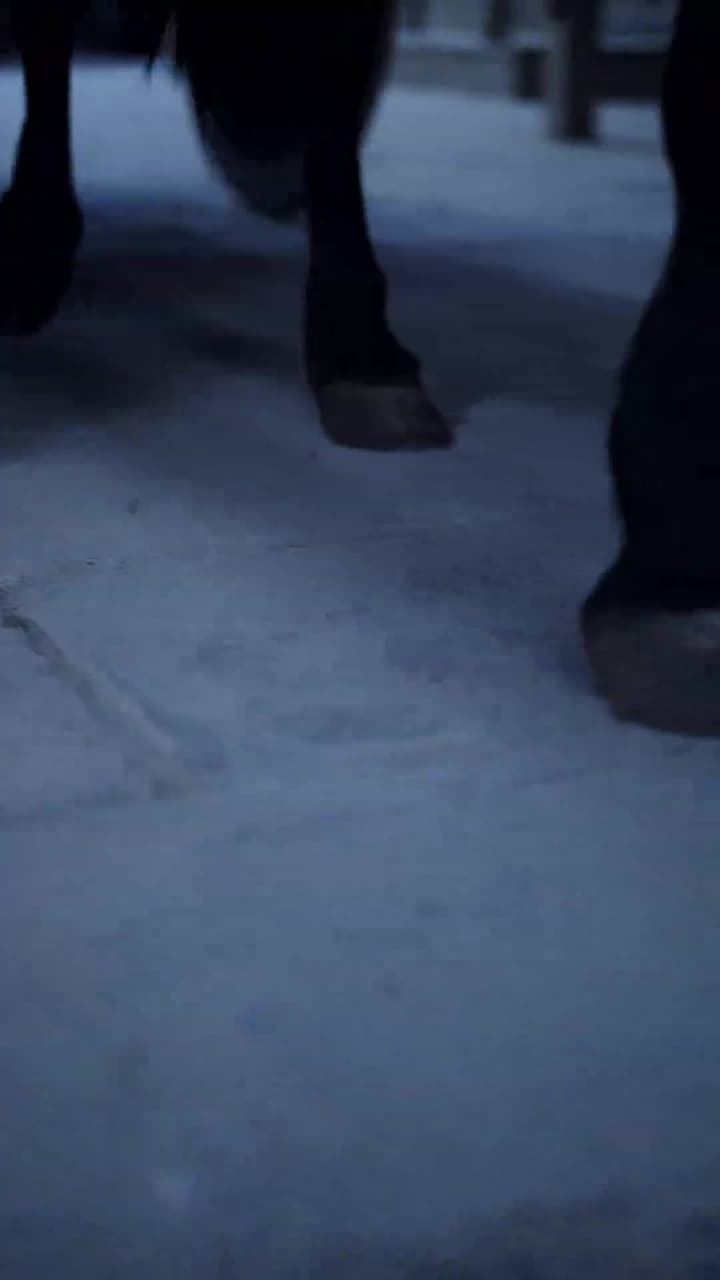 夜問 - Episode 12
