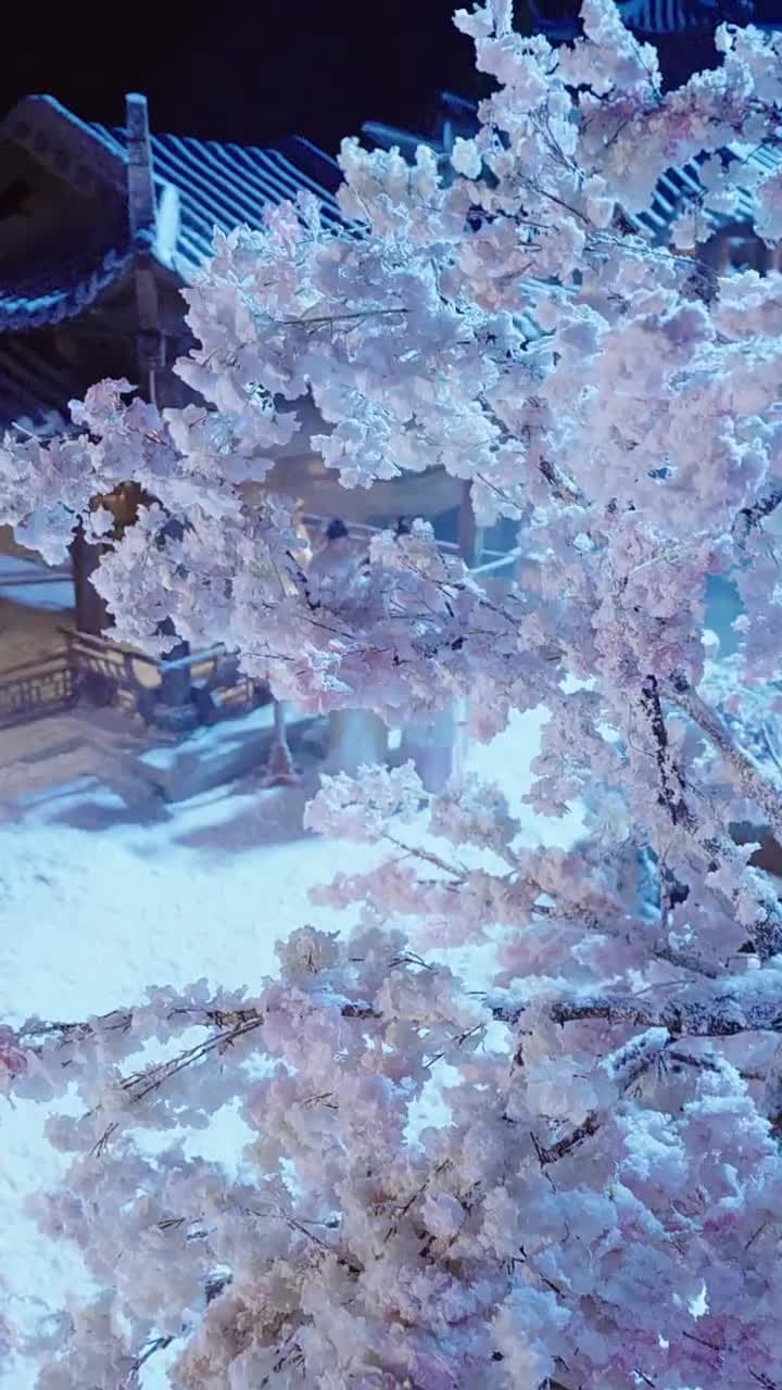 夜問 - Episode 1