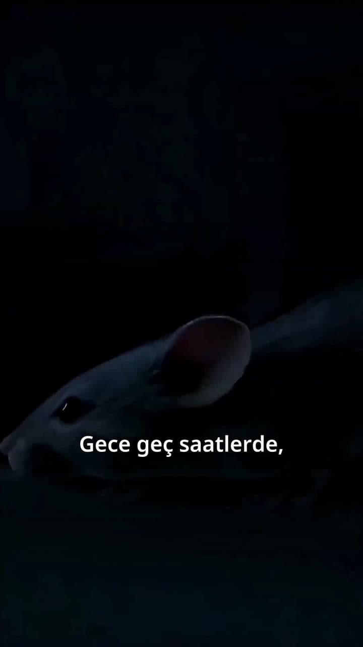 Yemin Ederim - Episode 7