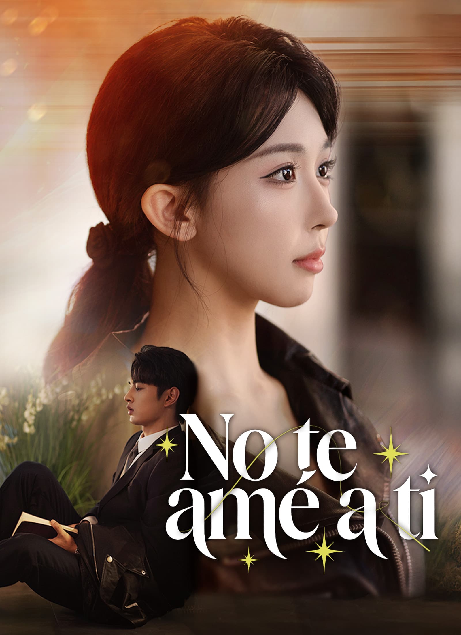 No te amé a ti
