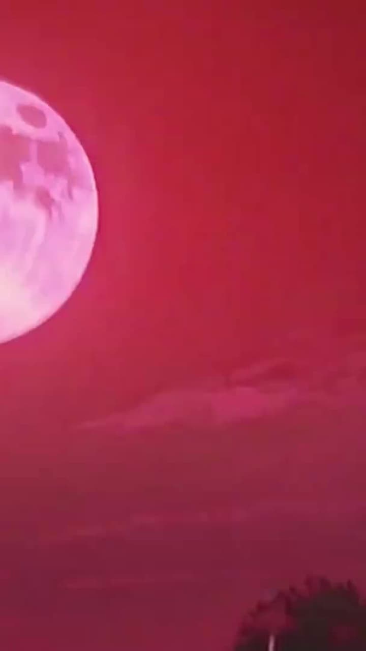 Mi Imperio en Dos Mundos - Episode 7