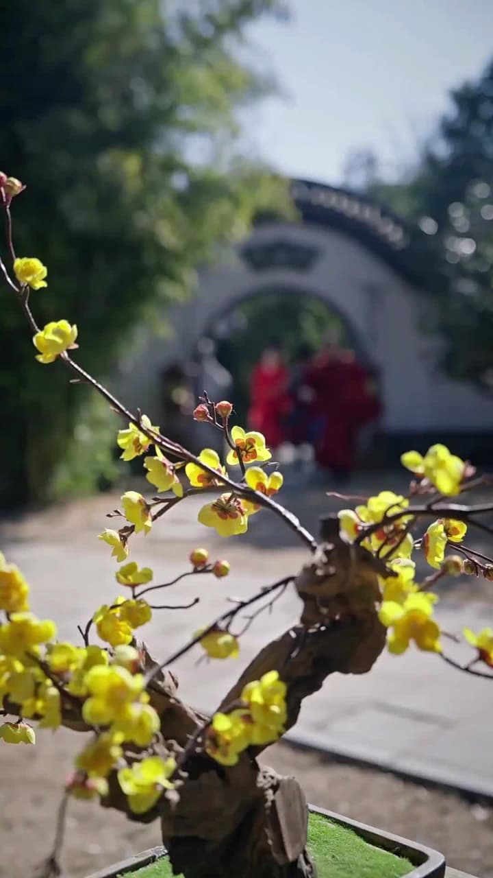 [Lồng tiếng]Cánh Hồng Kinh Diễm - Episode 12