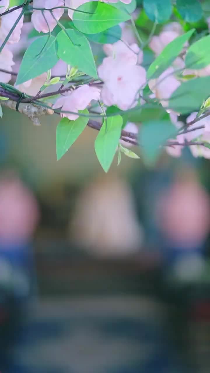 เธอคือสนมเอก - Episode 43