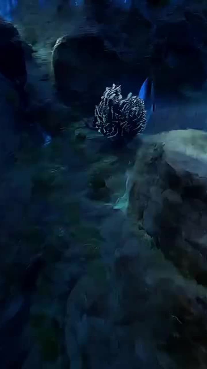 Koi Reborn: Rise to Dragonhood - Episode 12