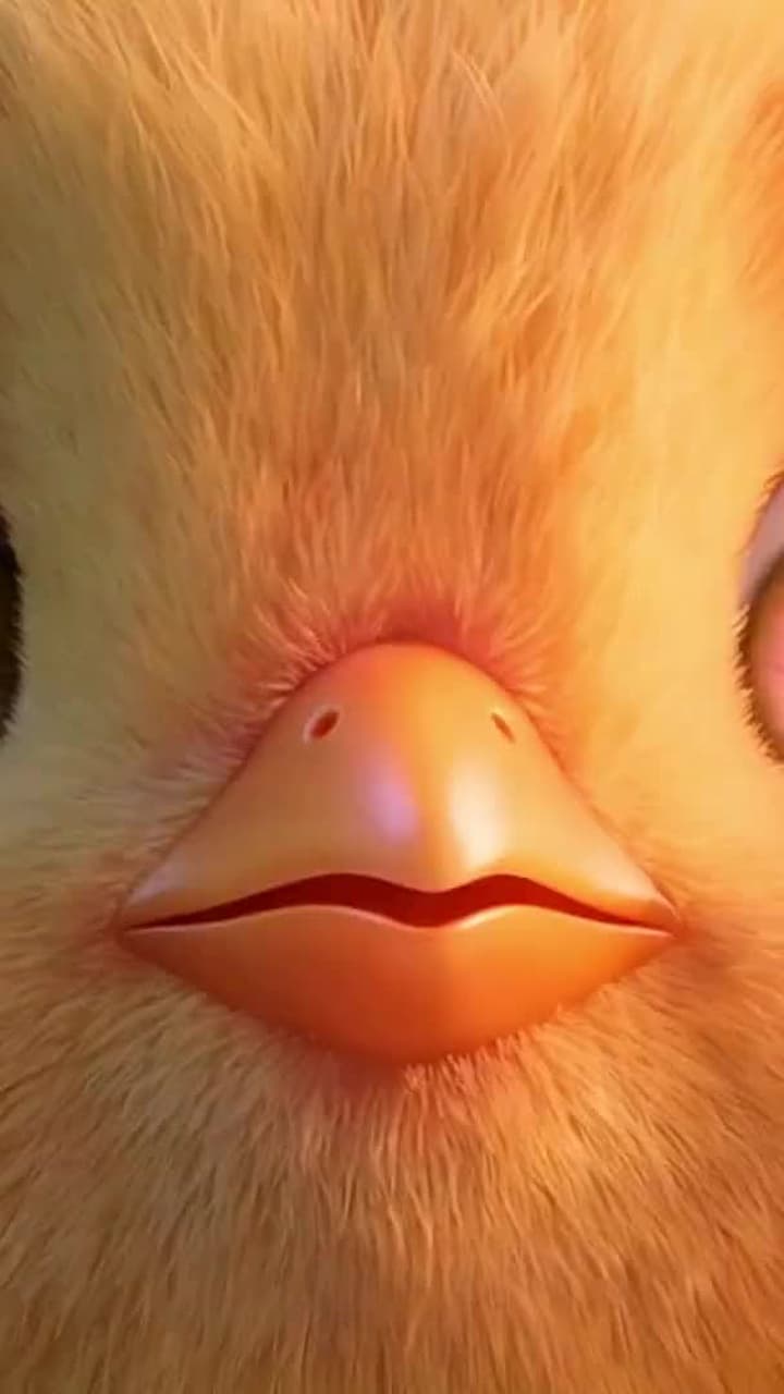 De Pollito a Fénix Sagrado - Episode 2