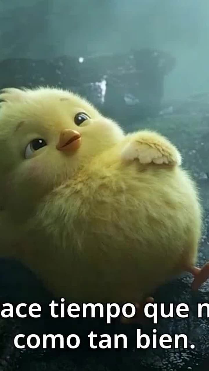 De Pollito a Fénix Sagrado - Episode 62