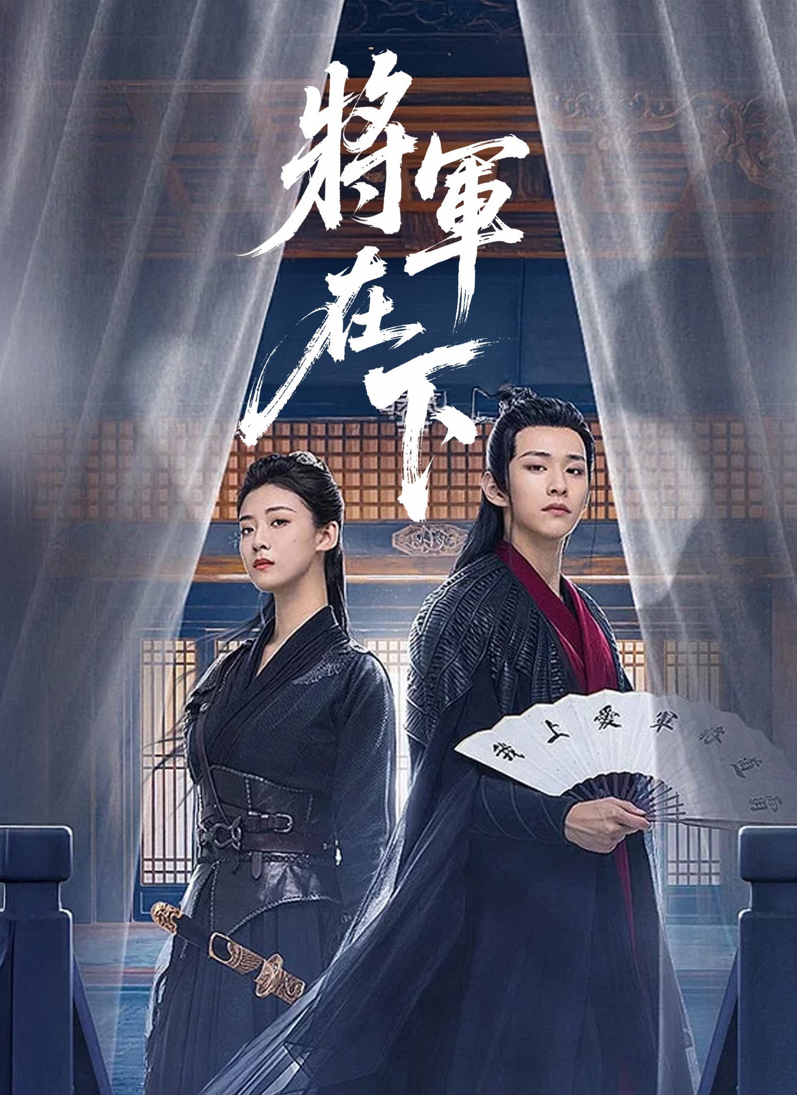 將軍在下