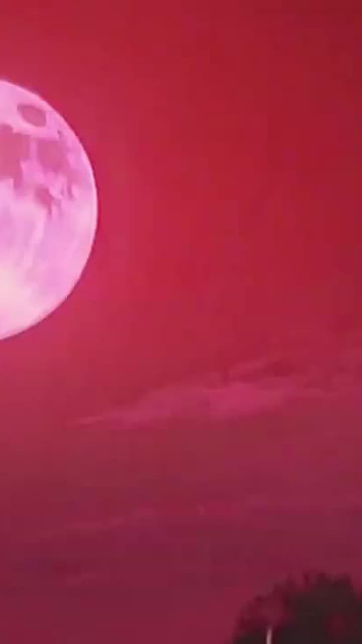 Mon Empire Commercial dans le Monde Spectral - Episode 7