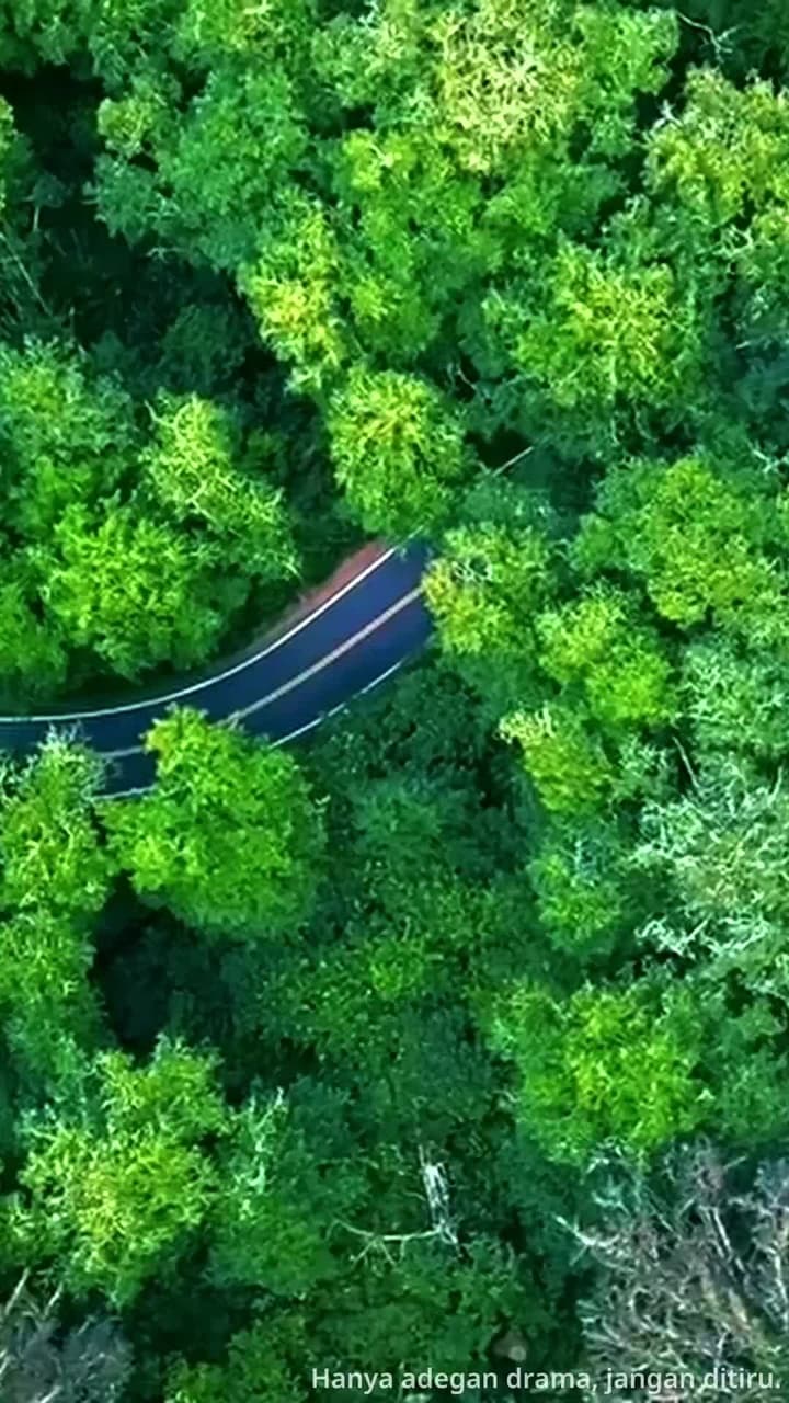 Kebenaran yang Terkubur Selama Sepuluh Tahun - Episode 39