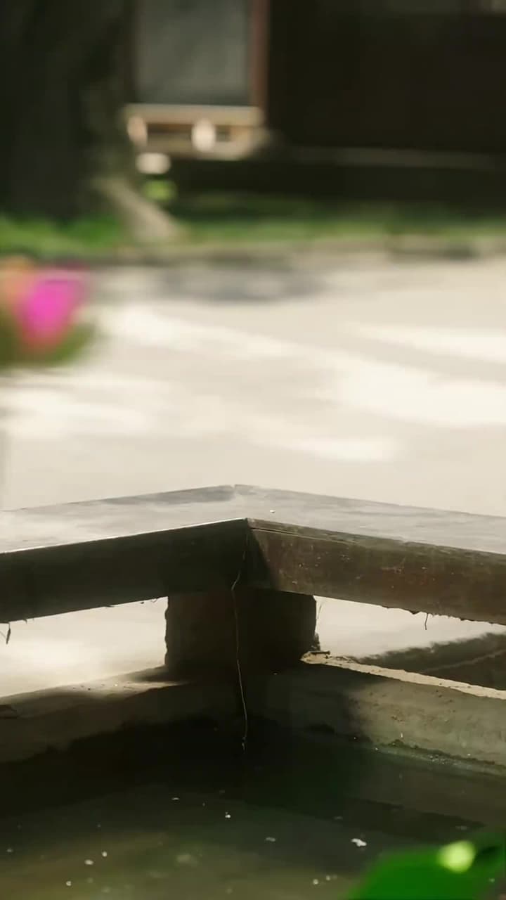 The Lucky Star They Threw Away - Episode 78