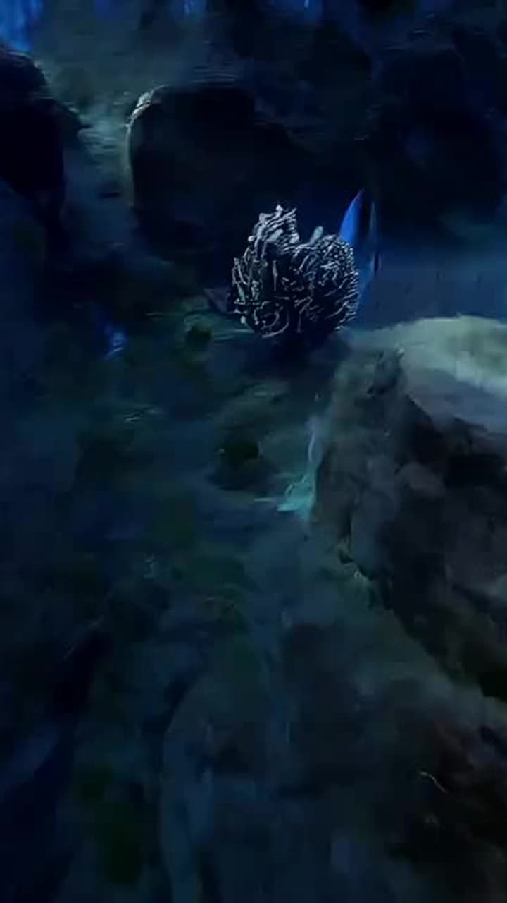 O Despertar do Deus dos Mares - Episode 12
