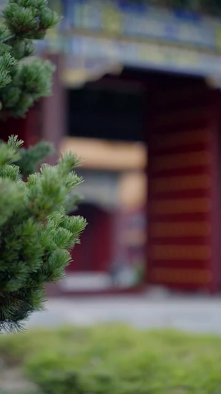 Defying the Palace: For My Beloved - Episode 62