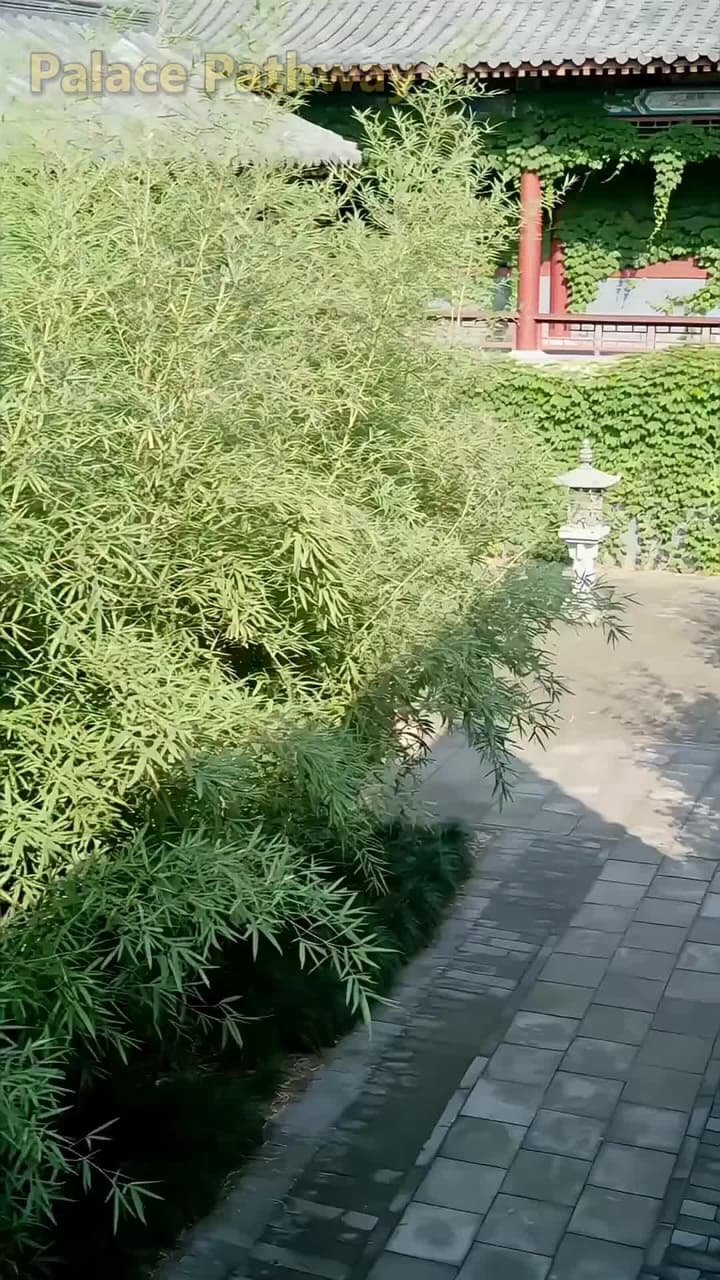 Trapped in the Harem - Episode 31
