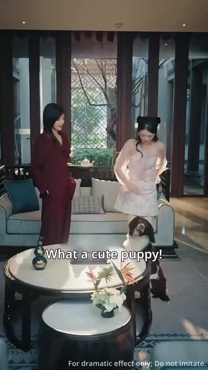 [Dubbed] Hartley's Stolen Heiress - Episode 28