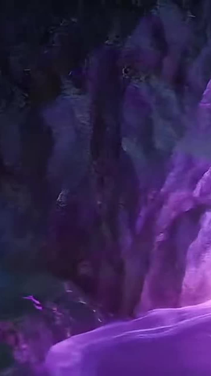 Endlose Evolution - Episode 7