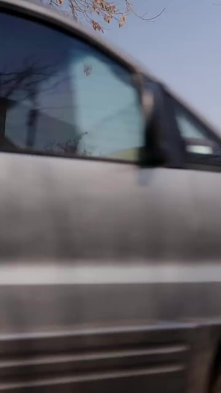 Mariage sous contrat : L’Antidote d’un héritier - Episode 5