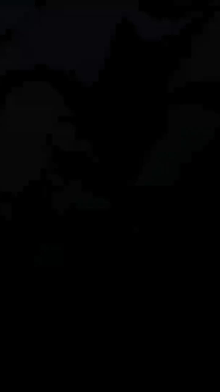 L'Ultima Guida dell'Oscurità - Episode 74
