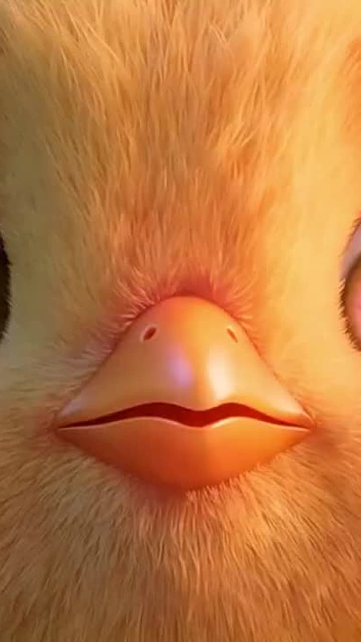 Un Poussin, Évolution Sans Limite - Episode 2