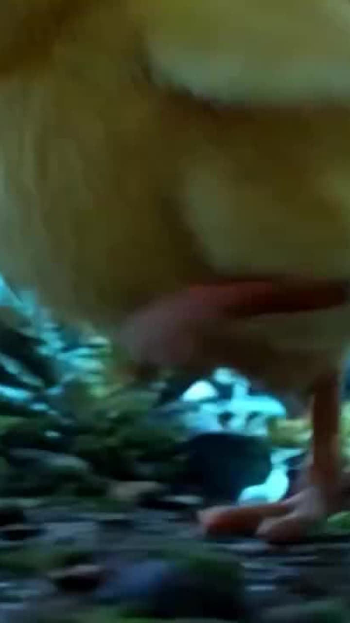 Un Poussin, Évolution Sans Limite - Episode 5