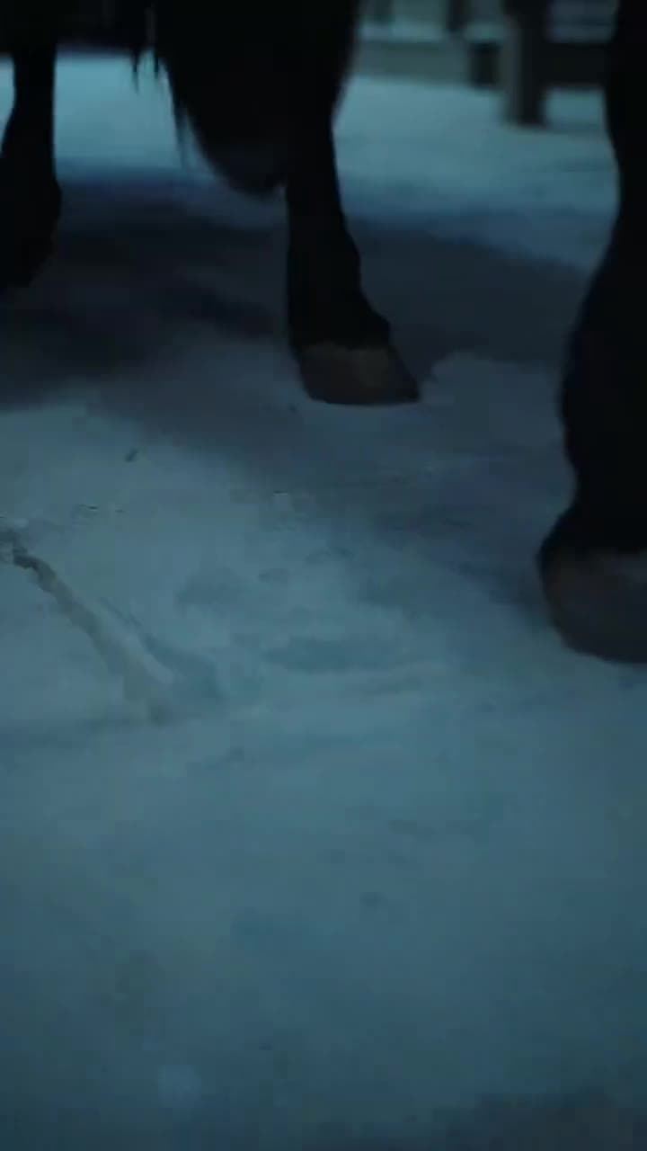 夜に問う 〜偽りの姉妹と王朝の誓い〜 - Episode 15