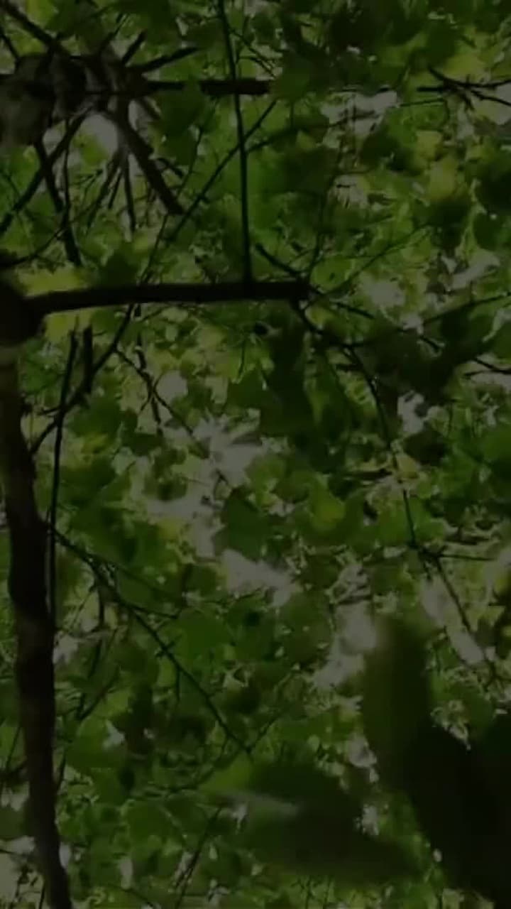 Sủng Ái Mình Em - Episode 38