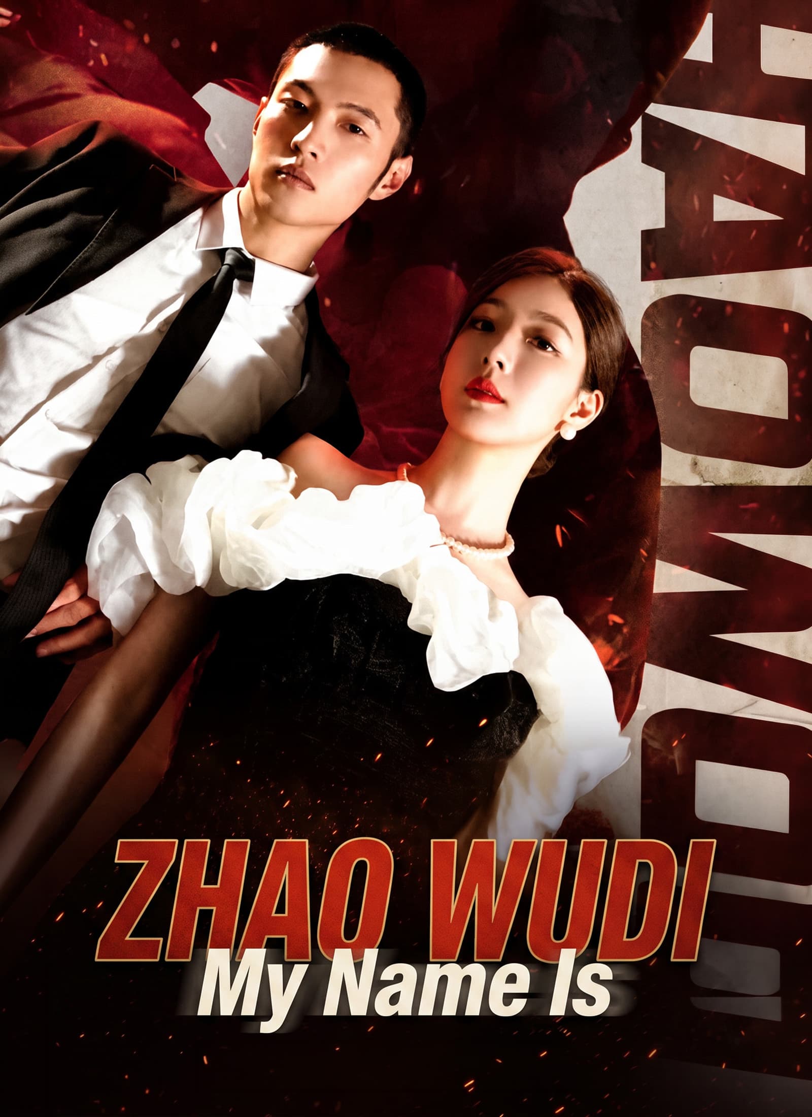 My Name Is Zhao Wudi