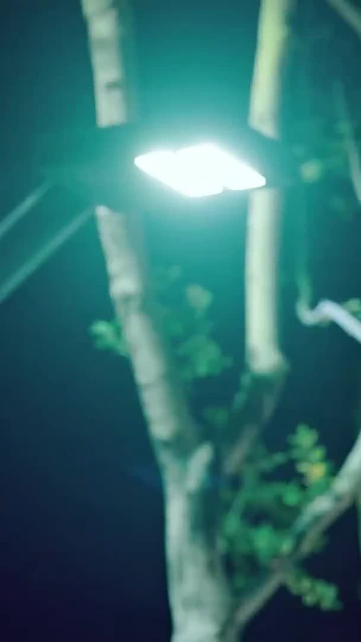 Nụ Hôn Thứ 33 - Episode 5