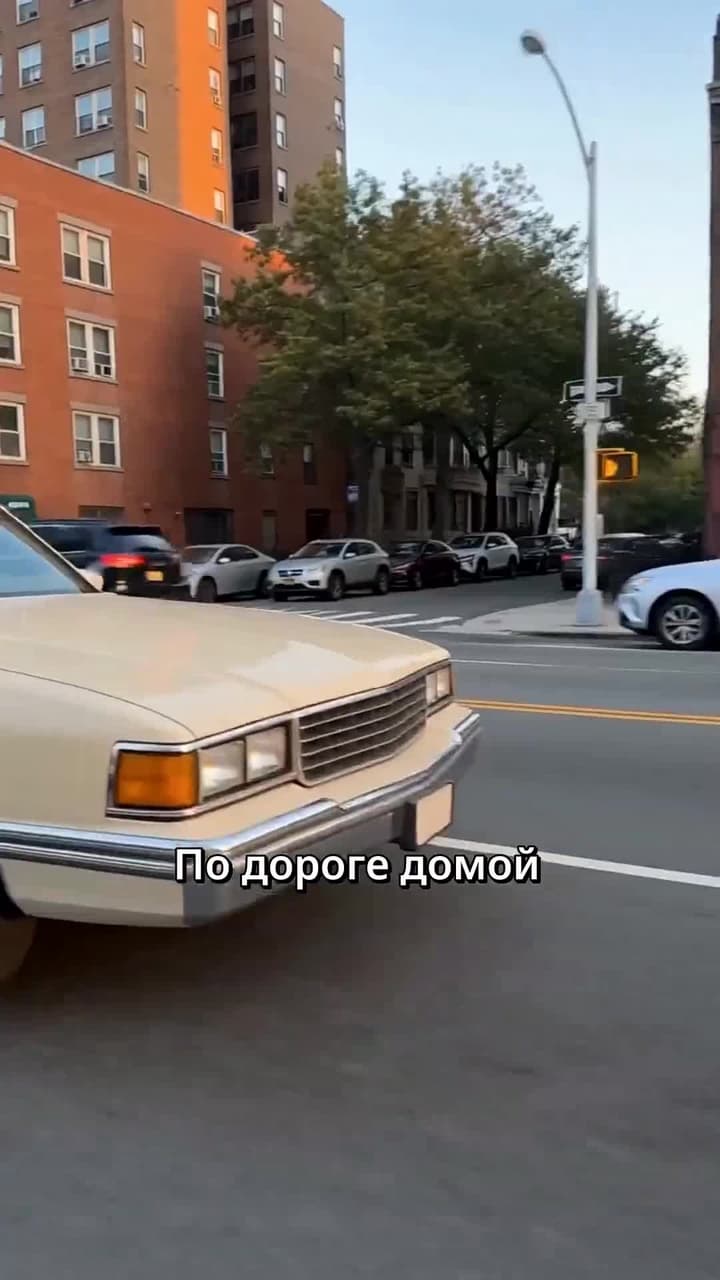 После развода я стала XXL-женой крёстного отца - Episode 11