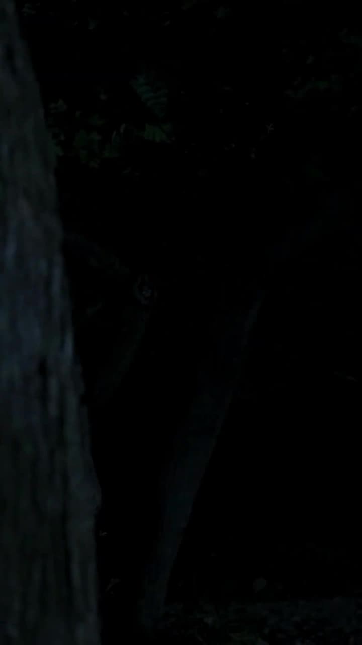 Sang Petani Gila - Episode 7