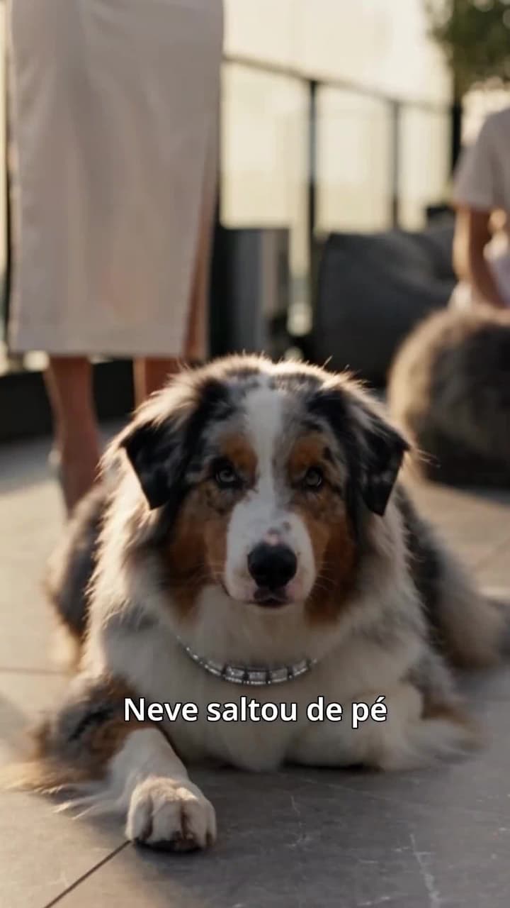 A empregada que pode entender a língua dos cães: conquistando o coração de um bilionário - Episode 11